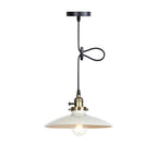 Industrial Iron Multicolor Bowl 1-light Pendant Light BulbSquare