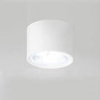 Nordic Cylinder Spotlight LED Flush Mount Ceiling Light BulbSquare