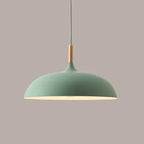 Modern Metal Wooden Top 1-light Dome Pendant Light Lumendat