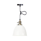 Industrial Iron Multicolor Bowl 1-light Pendant Light BulbSquare