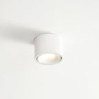 Modern Minimalist Round Spotlight Adjustable LED Flush Mount Ceiling Light BulbSquare