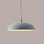 Modern Metal Wooden Top 1-light Dome Pendant Light Lumendat