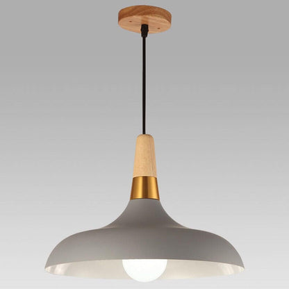 Nordic Macaron Barn Metal Wood 1-light Pendant Light