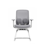 Modern Minimalist Sled Base Office Chair - Adaptive Lumbar Support & 4D Adjustable Armrest Mesh Conference Desk Chair For Home Office Lumendat