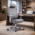 Modern Minimalist Grey High-Back Mesh Executive Chair - 4D Adjustable Headrest & Tilt Ergonomic Office Chair For Home Office Lumendat