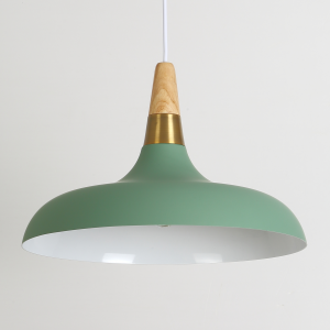 Contemporary Nordic Dome Iron Colorful 1-Light Single Pendant Light For Living Room
