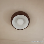 Contemporary Scandinavian Iron Glass Round Shade 1-light Flush Mount Ceiling Light for Living Room